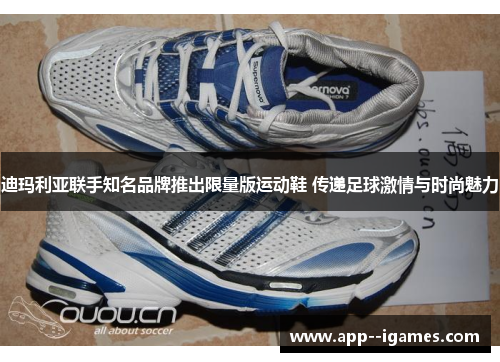 迪玛利亚联手知名品牌推出限量版运动鞋 传递足球激情与时尚魅力