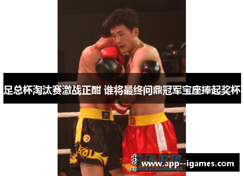 足总杯淘汰赛激战正酣 谁将最终问鼎冠军宝座捧起奖杯