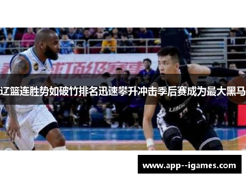 辽篮连胜势如破竹排名迅速攀升冲击季后赛成为最大黑马