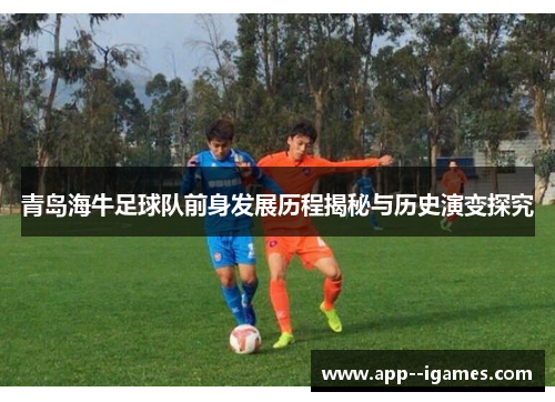 青岛海牛足球队前身发展历程揭秘与历史演变探究