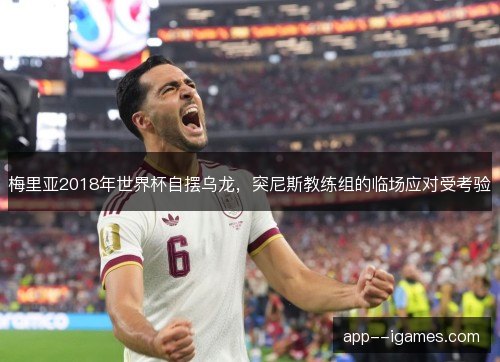梅里亚2018年世界杯自摆乌龙，突尼斯教练组的临场应对受考验